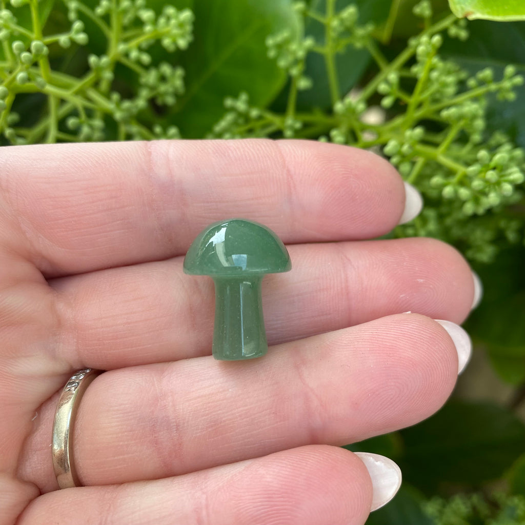 Mushroom - Aventurine