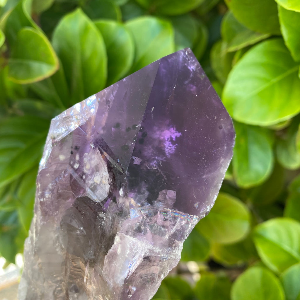 XL Laser Amethyst & Smoky Point - Bahia