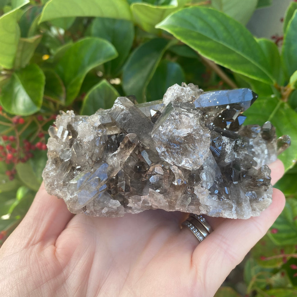 Smoky Quartz Cluster (370 grams)