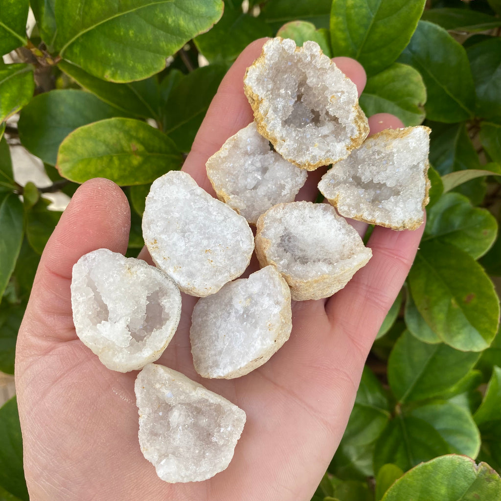 Small Quartz Geodes x 10