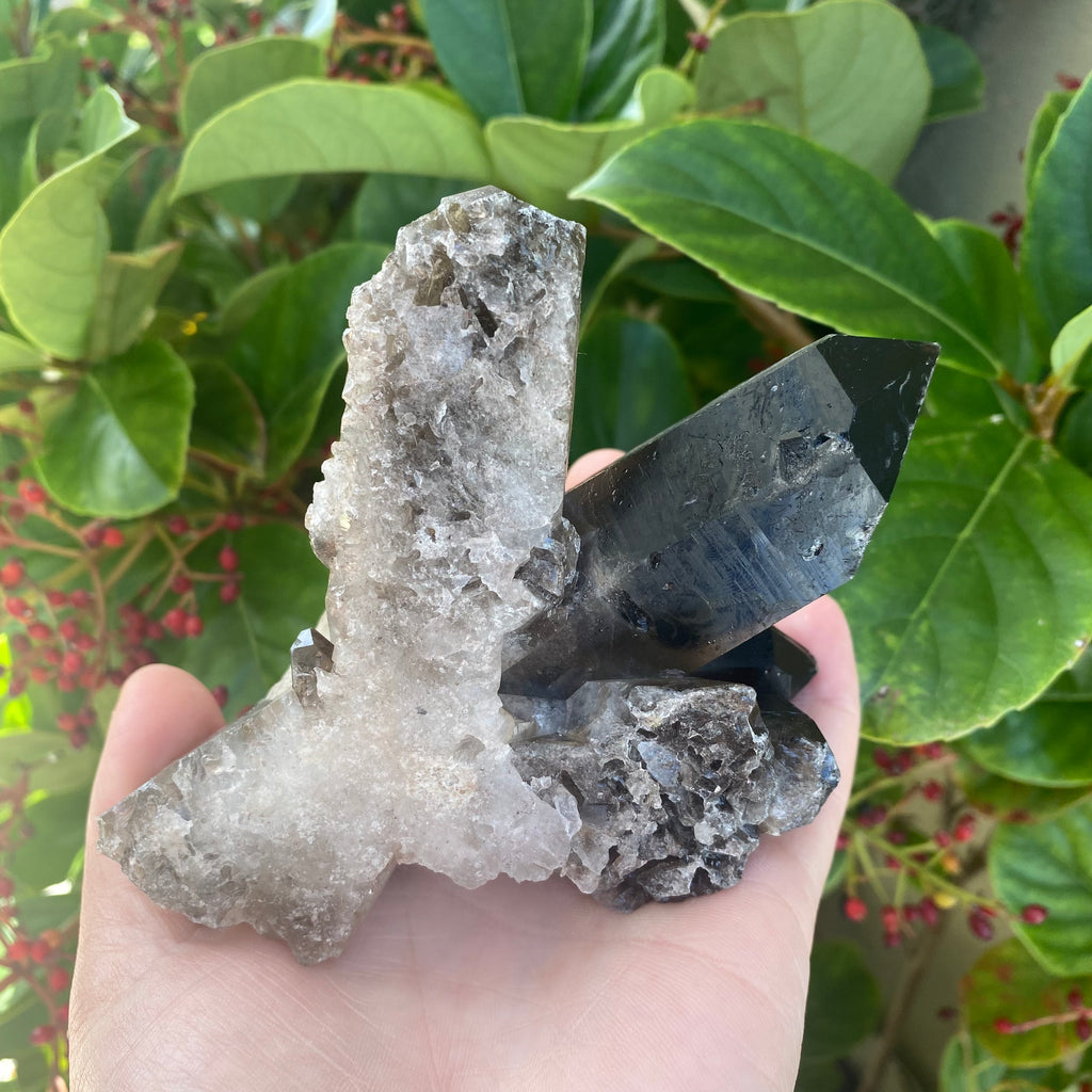 Large Smoky Quartz Cluster (570g)