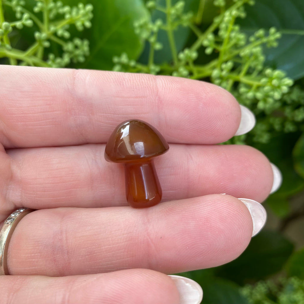 Mushroom - Carnelian