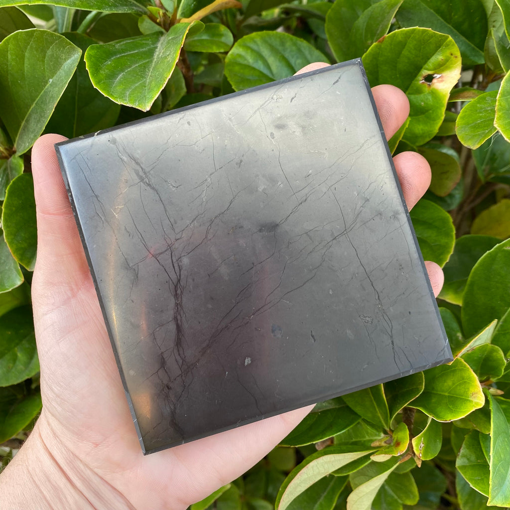 Shungite Tile