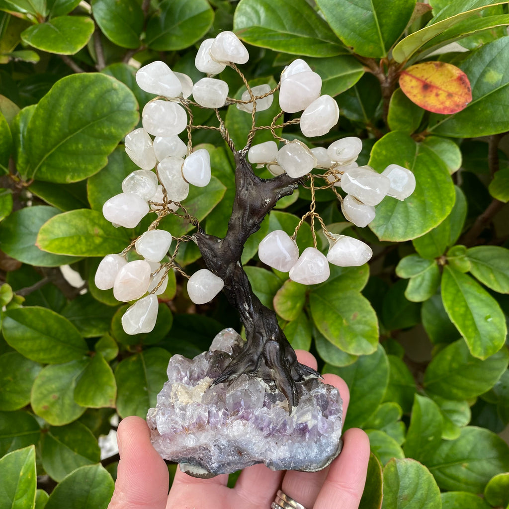 Rose Quartz Tree on Amethyst Base