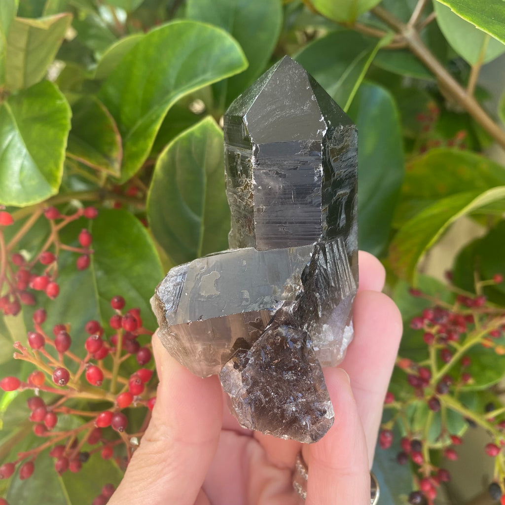 Smoky Quartz Cluster (160 grams)