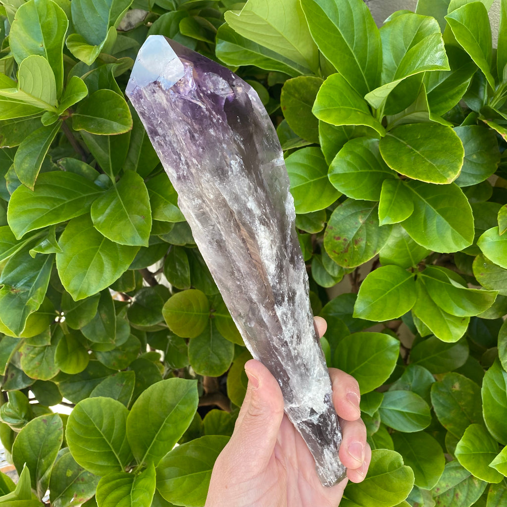 XL Laser Amethyst & Smoky Point - Bahia