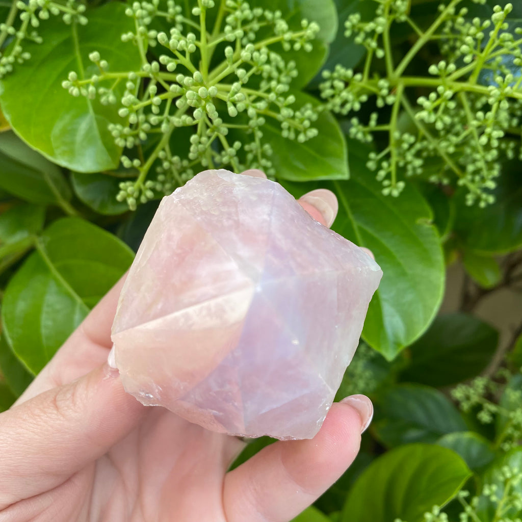 Aura Point - Rose Quartz