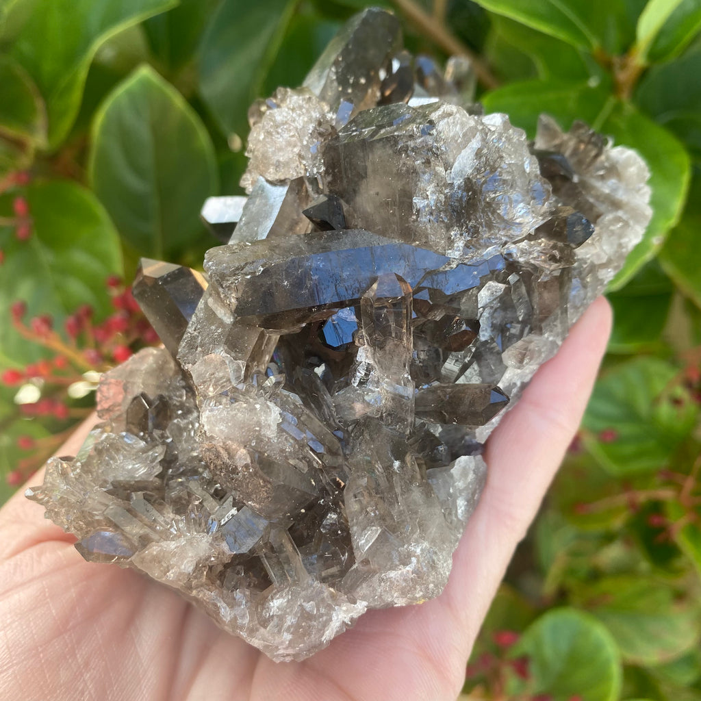 Smoky Quartz Cluster (370 grams)