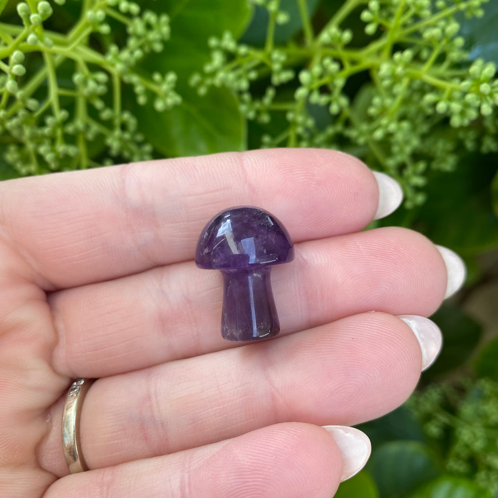 Mushroom - Amethyst