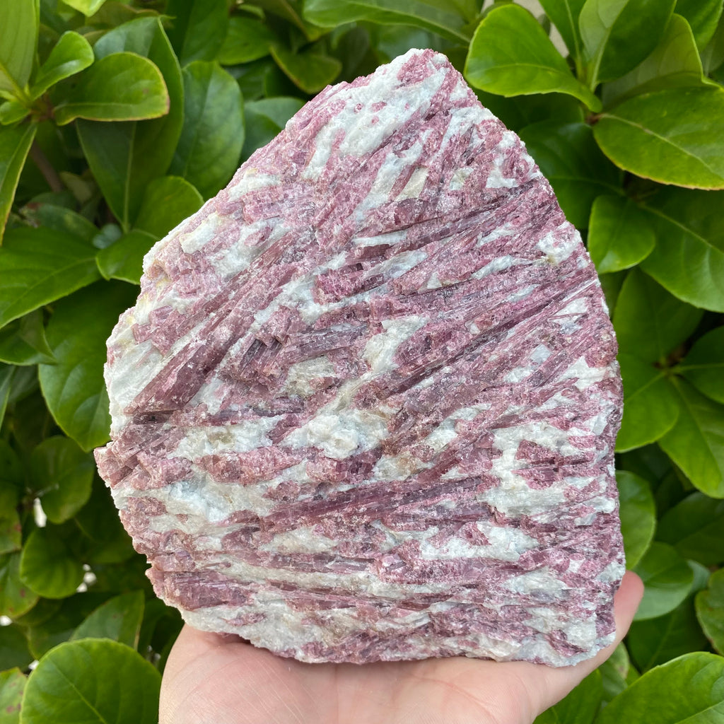 Pink Tourmaline