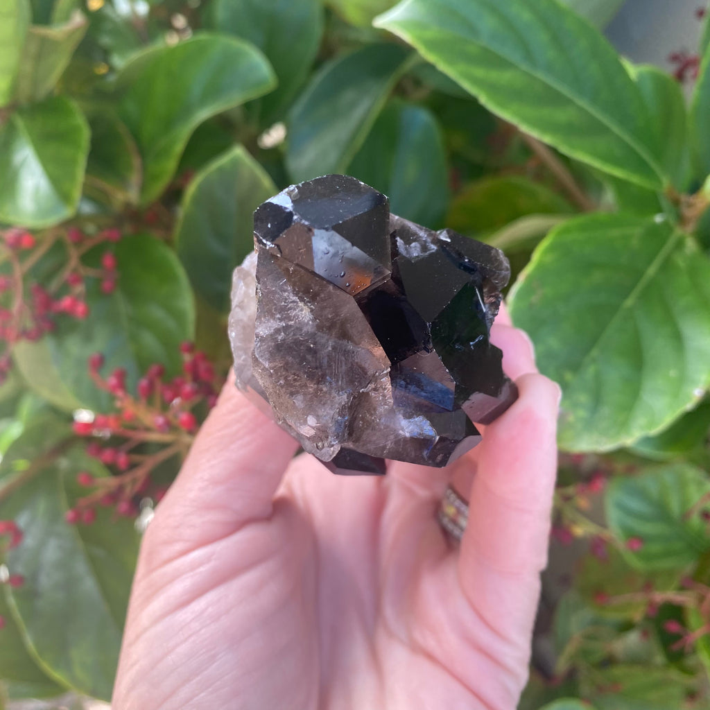 Smoky Quartz Cluster (320 grams)