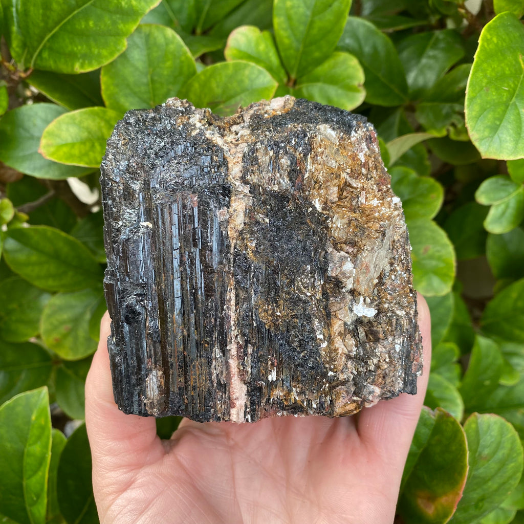 Black Tourmaline With Mica