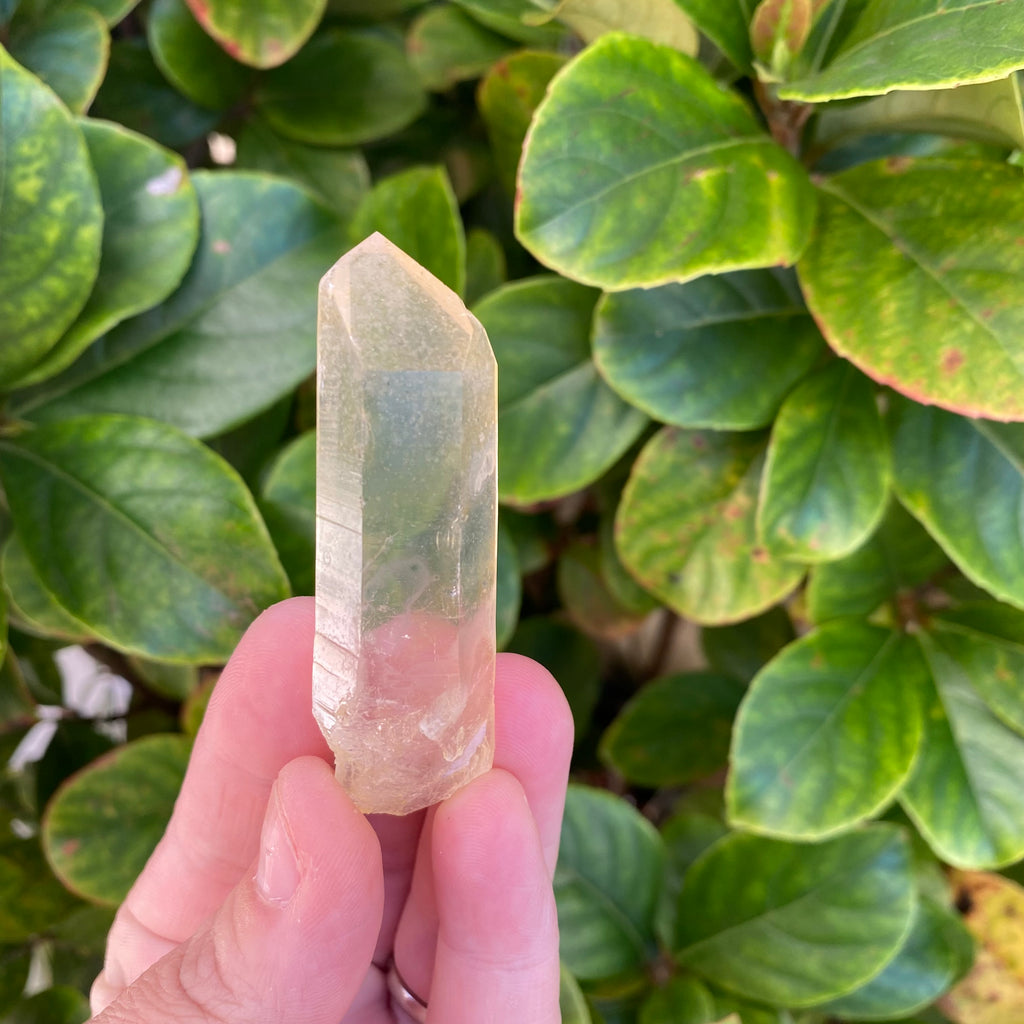 Arkansas Golden Healer Quartz