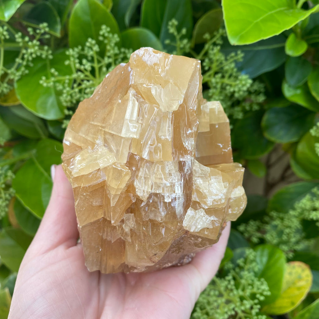 Honey Golden Calcite | Sydney Crystal Caves