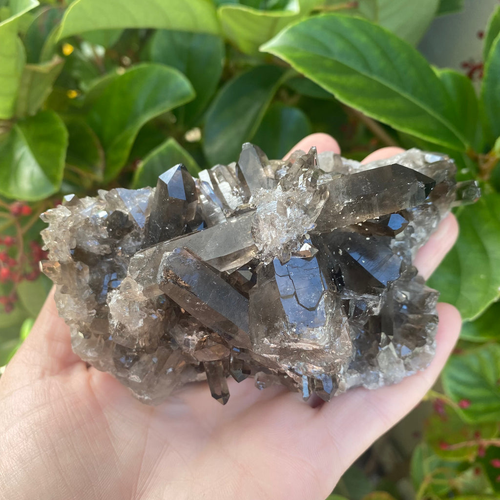 Smoky Quartz Cluster (370 grams)