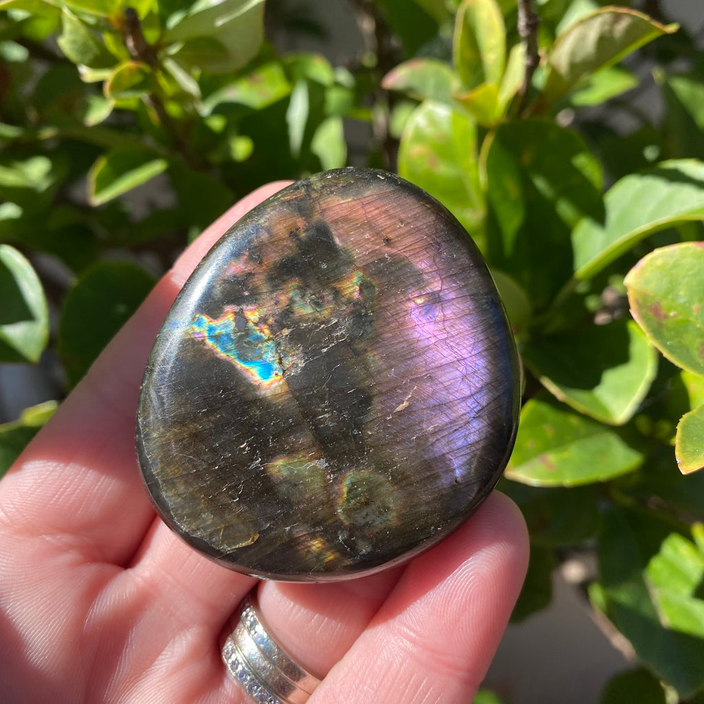 Labradorite Freeform - 65g