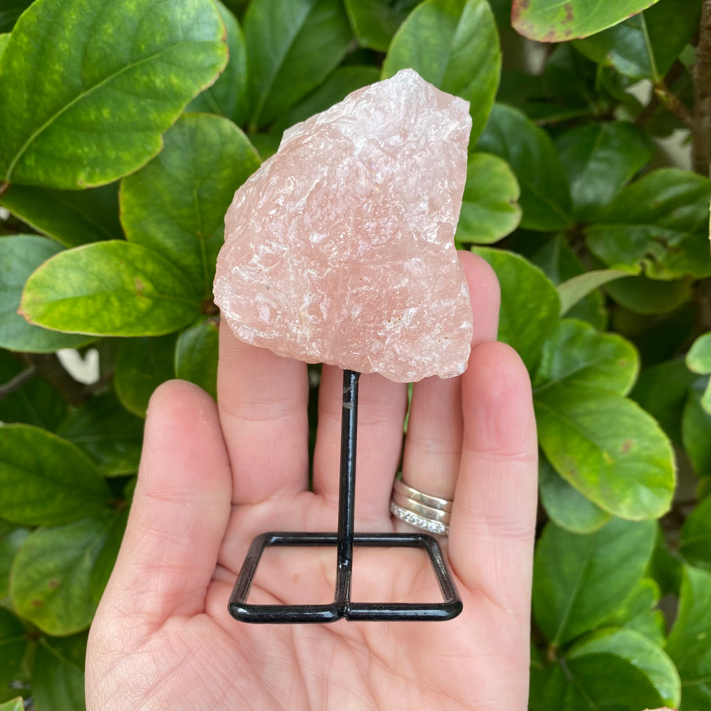 Rose Quartz on Metal Base