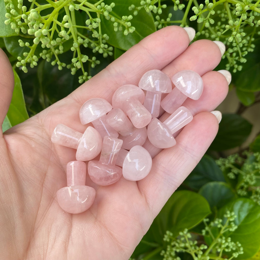 Mushroom - Rose Quartz