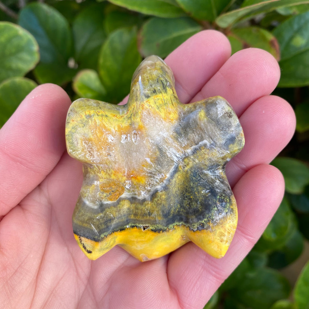 Bumble Bee Jasper Turtle