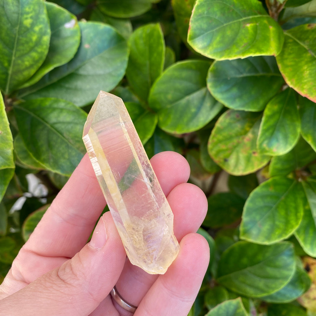Arkansas Golden Healer Quartz