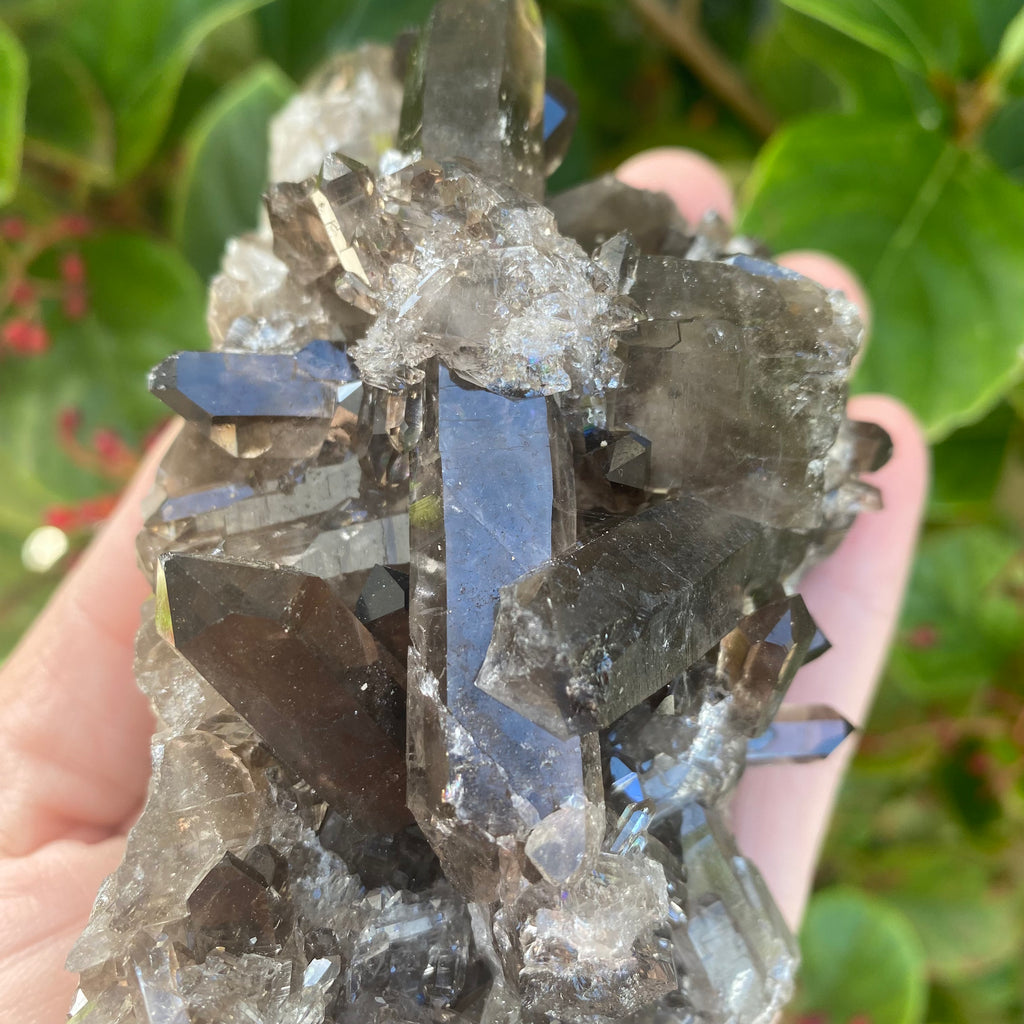 Smoky Quartz Cluster (370 grams)