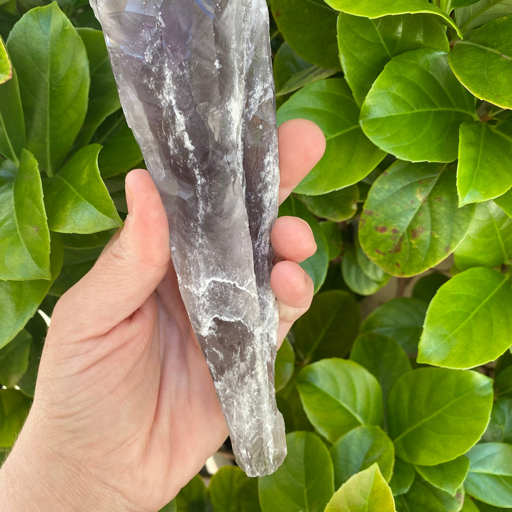 XL Laser Amethyst & Smoky Point - Bahia
