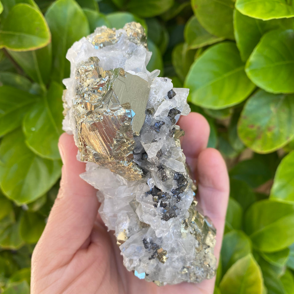 Pyrite with Quartz