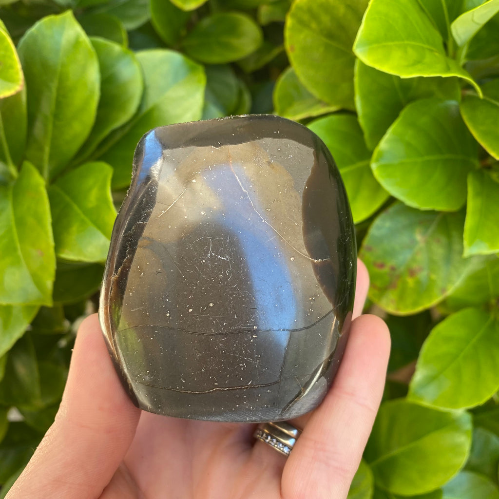 Septarian Druze Freeform