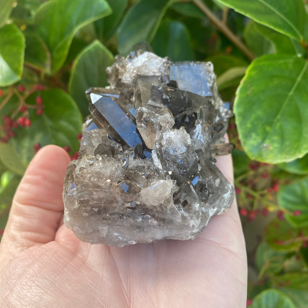 Smoky Quartz Cluster (370 grams)