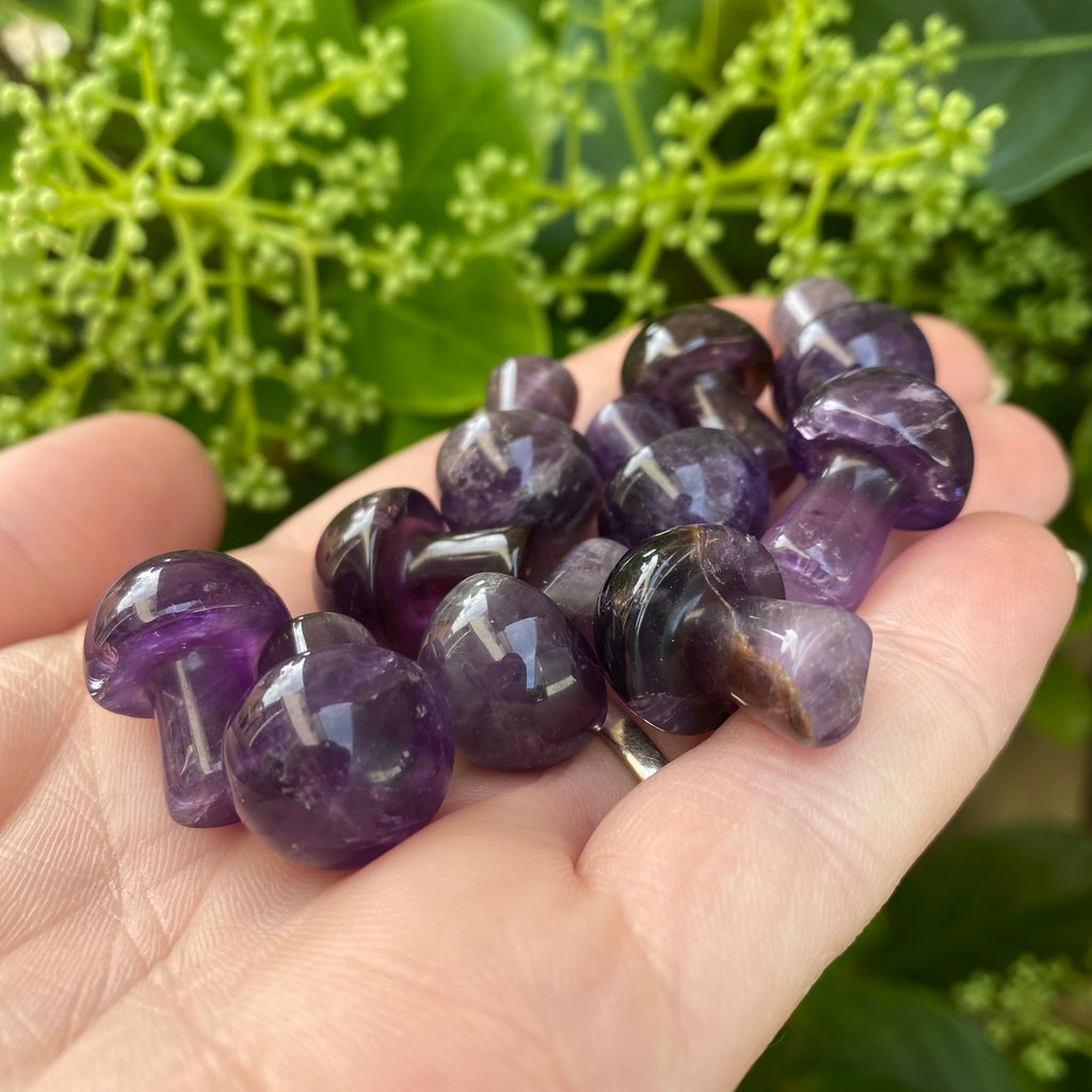 Mushroom - Amethyst