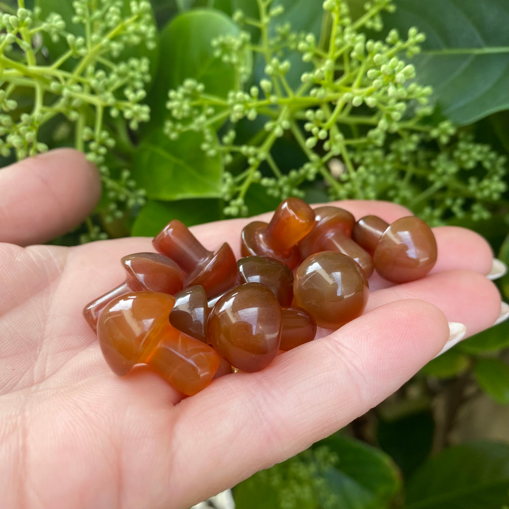 Mushroom - Carnelian