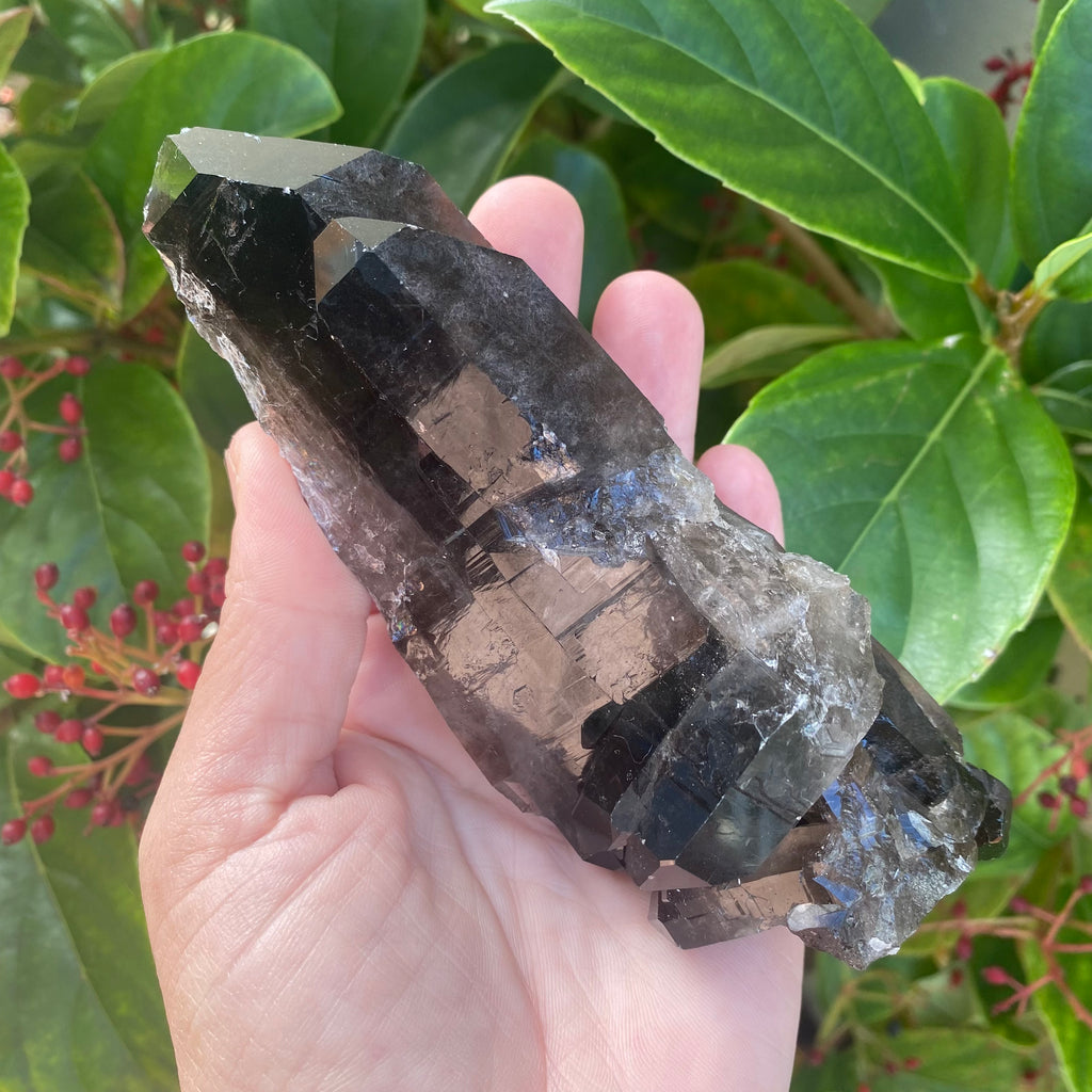 Smoky Quartz Cluster (320 grams)