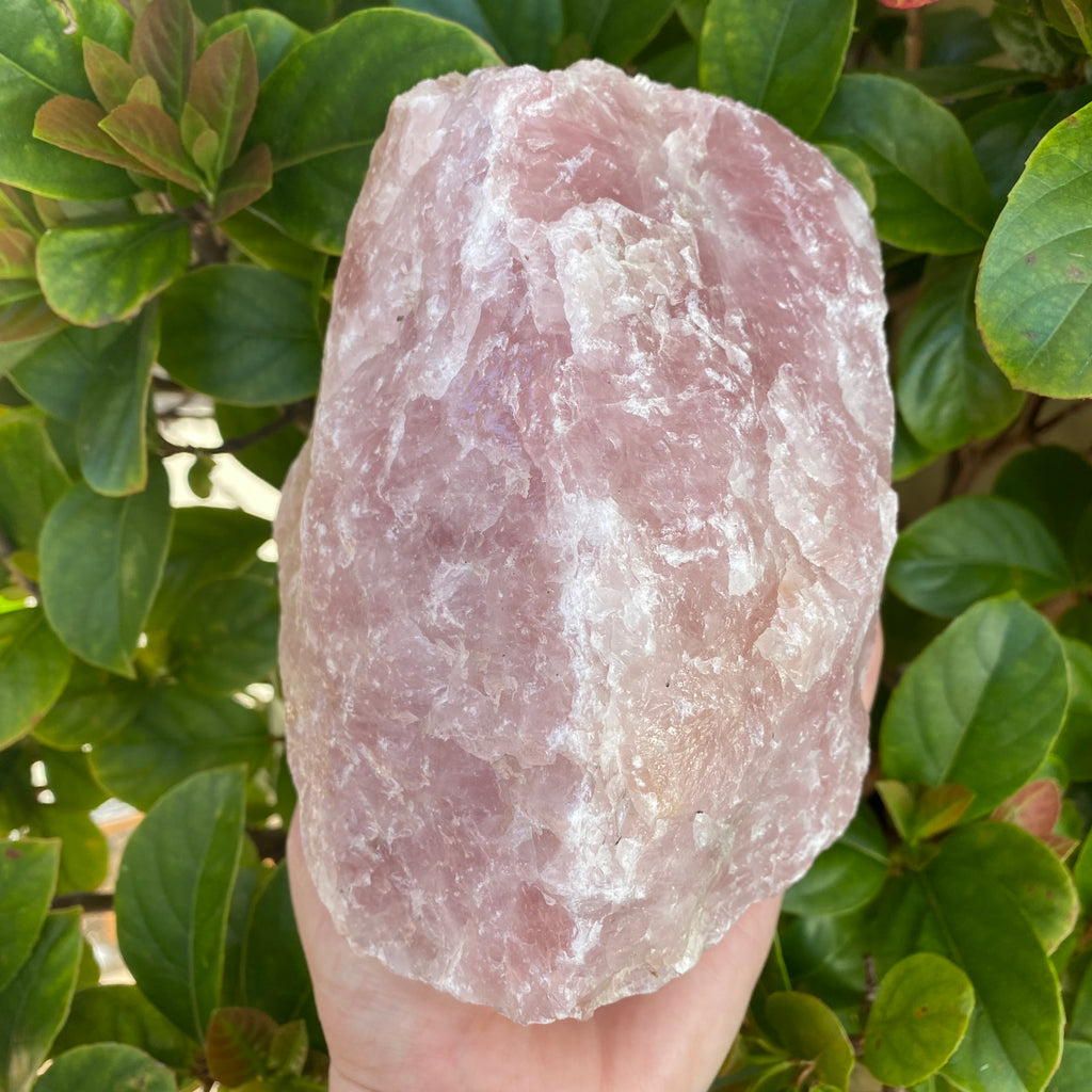 Rose Quartz Chunk - 2.4kg