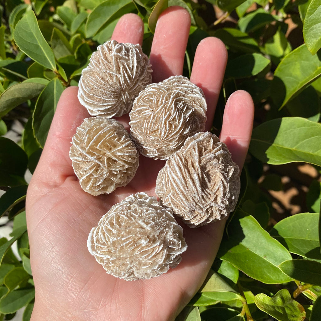 Desert Rose Gypsum