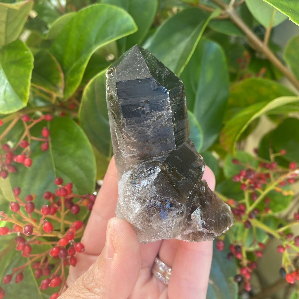 Smoky Quartz Cluster (160 grams)