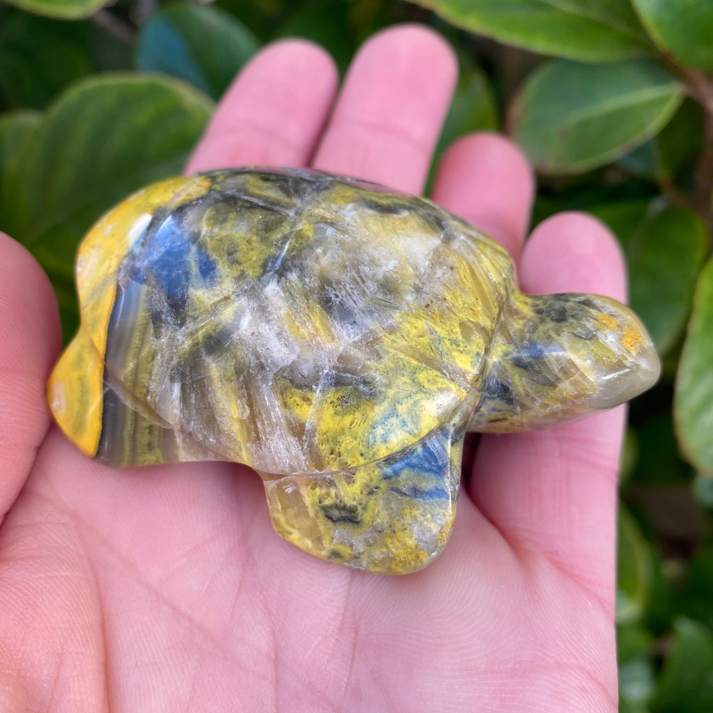 Bumble Bee Jasper Turtle