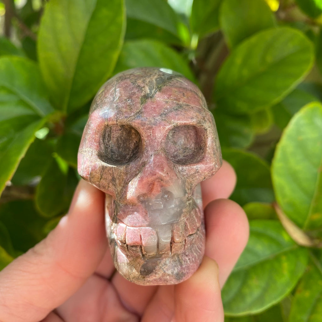 Rhodonite Skull