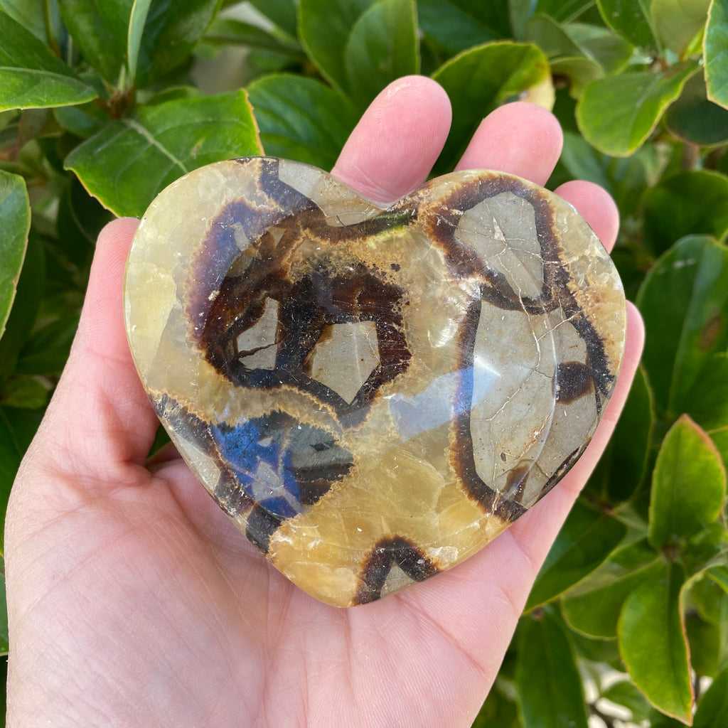 Septarian Heart Bowl