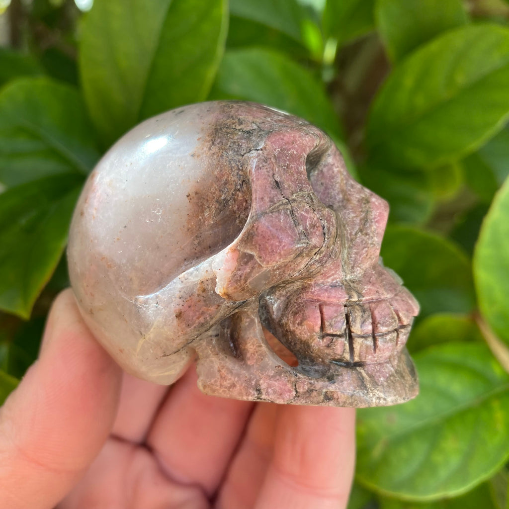 Rhodonite Skull