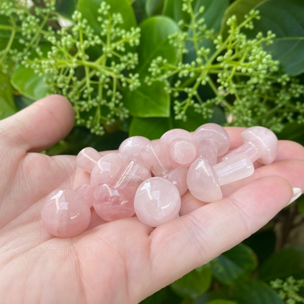 Mushroom - Rose Quartz