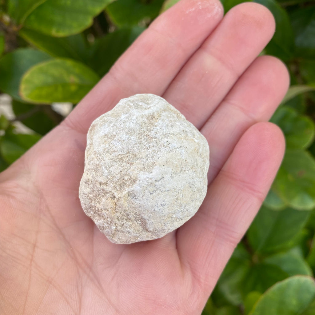 Small Quartz Geodes x 10