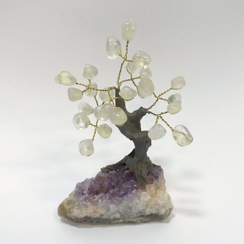 Clear Quartz Tree on Amethyst Base